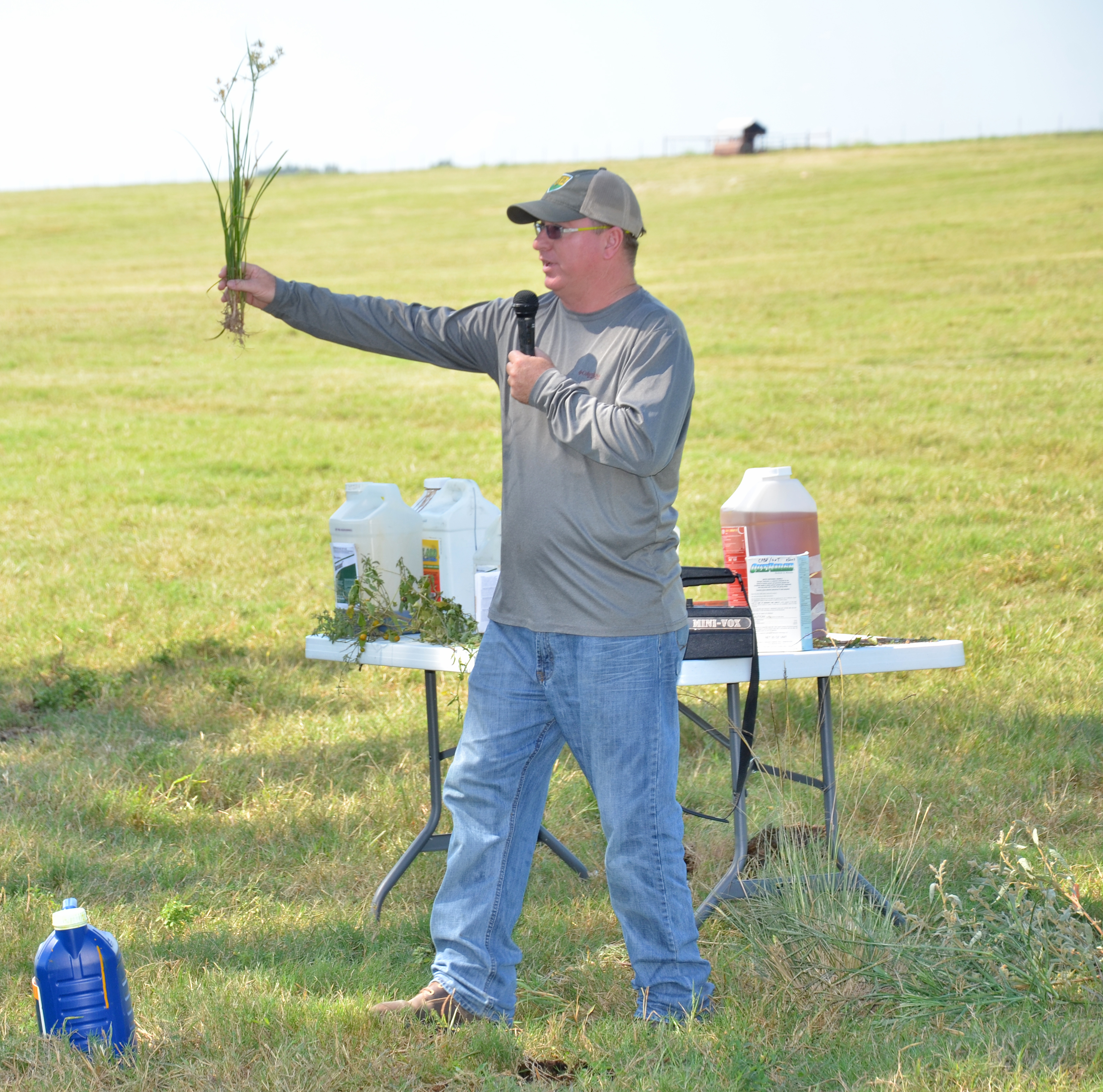 Experts offer advice on choosing replacement beef heifers